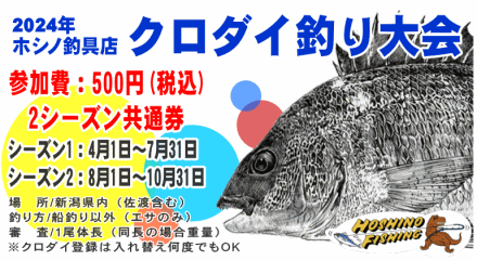 ルアーやろう さんの 2024年04月15日のサゴシの釣り・釣果情報(富山県
