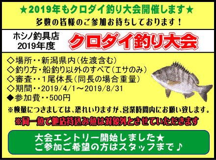 2019年クロダイ釣り大会エントリー開始しました!